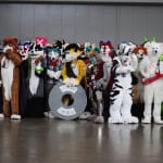 Anthro furry group