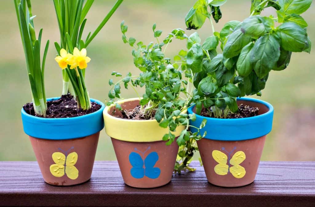 Thumbprint Pot