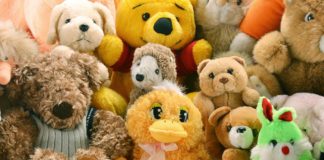 clean stuffed animals