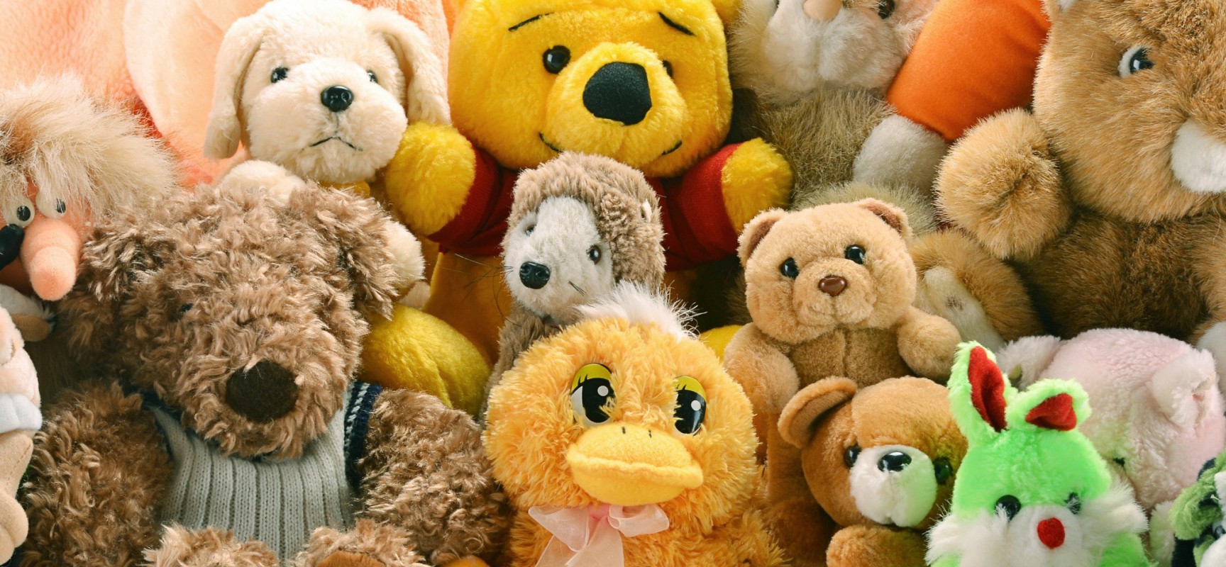 How to Clean Stuffed Animals and Dolls