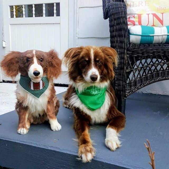 Petsies stuffed animal gifts