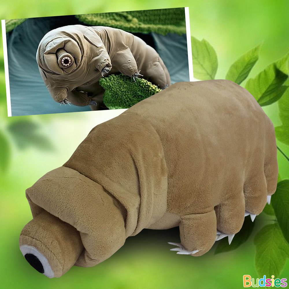 tardigrade stuffed animal