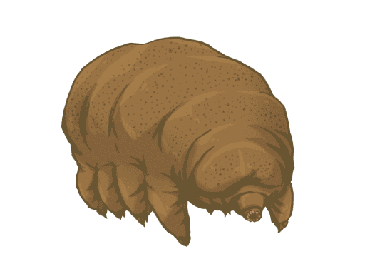 tardigrade stuffed animal