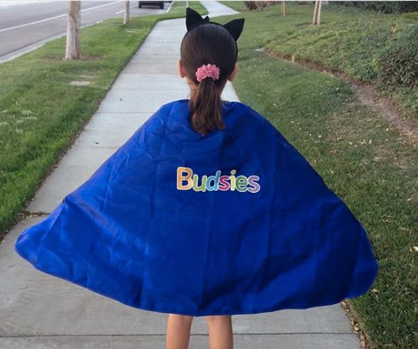 budsies accessories