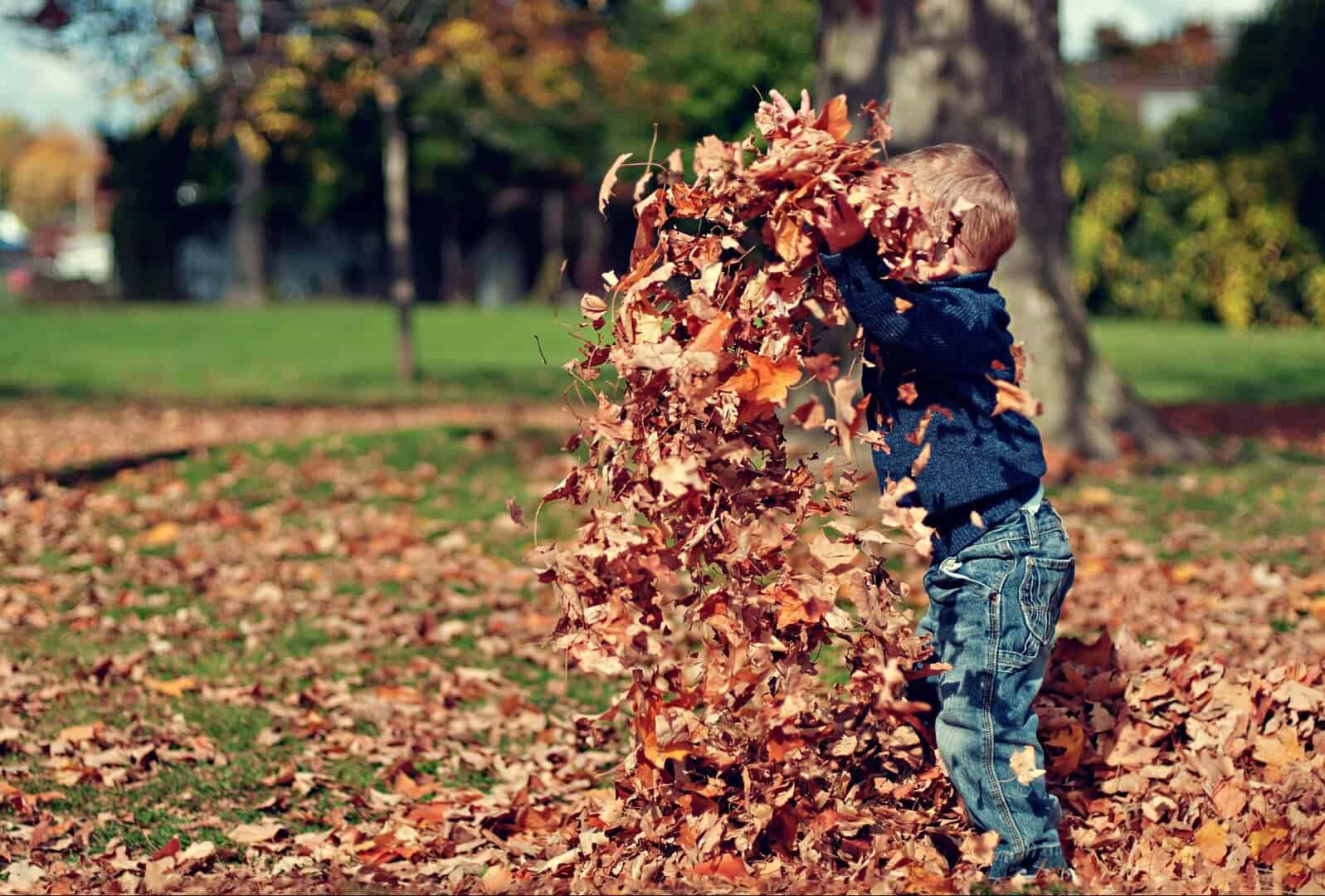 fun fall activities for kids