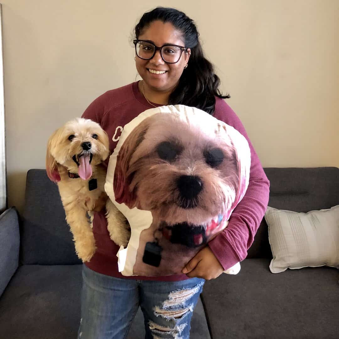 custom pet pillow