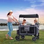 Wagon