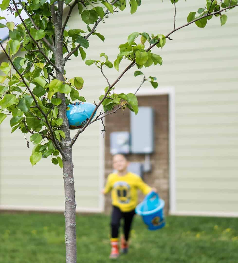 Easter decorations