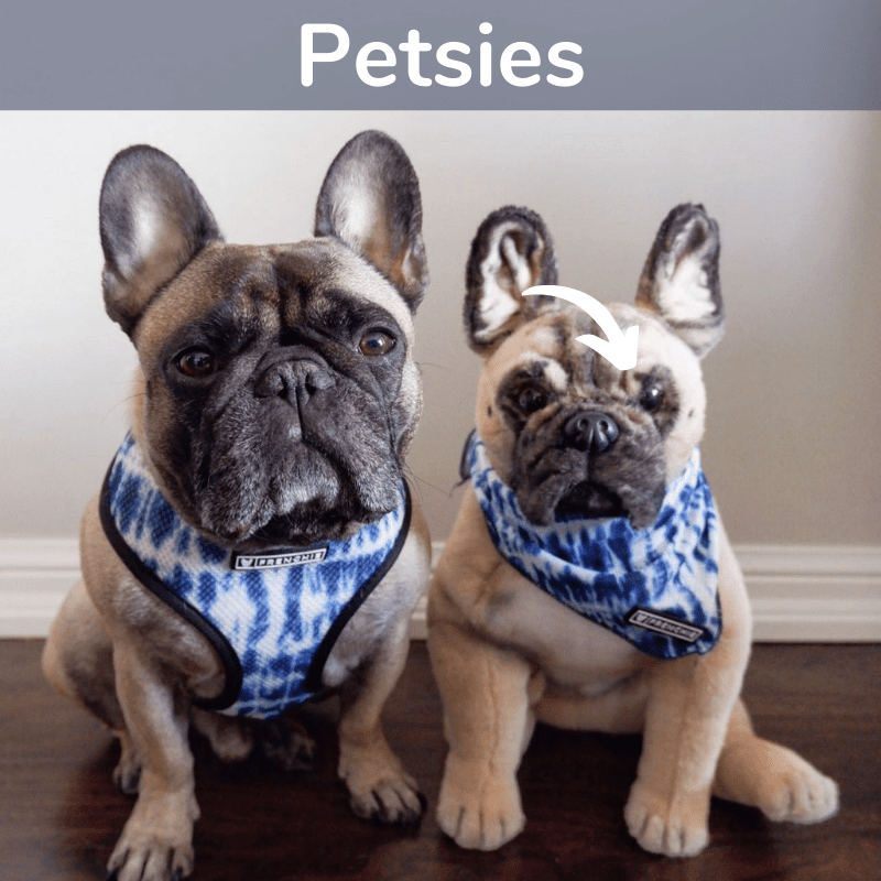 Custom Stuffed Animals, Pillows & Gifts | Budsies