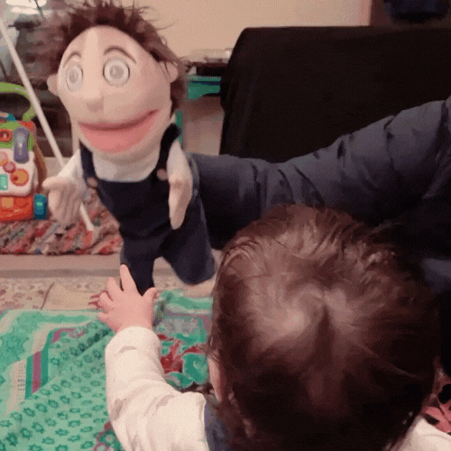 Budsies Puppets 