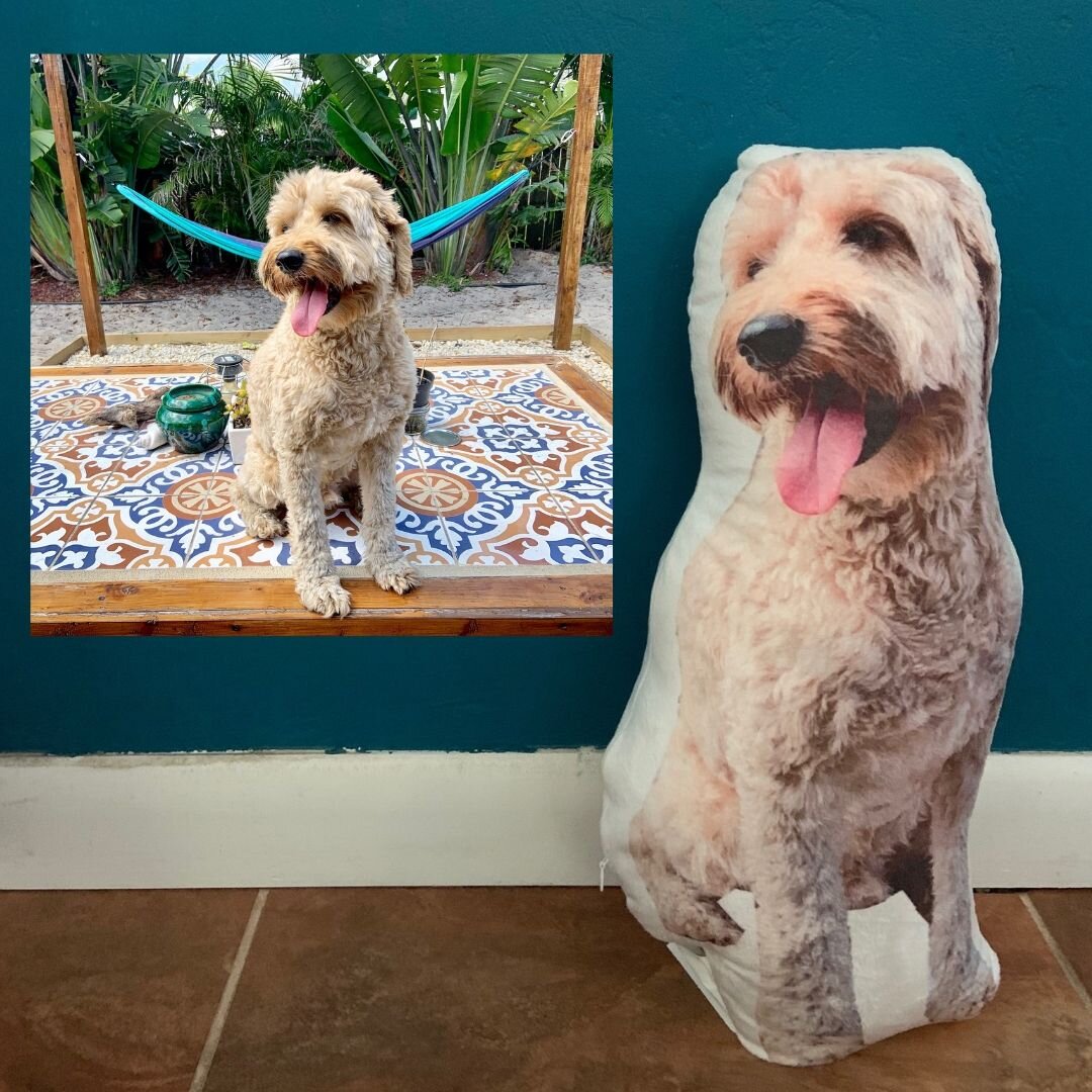 my petsies coupon code