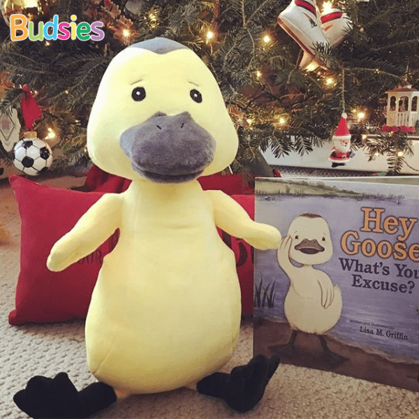 Book Character Custom Plush Bring Your Characters to Life