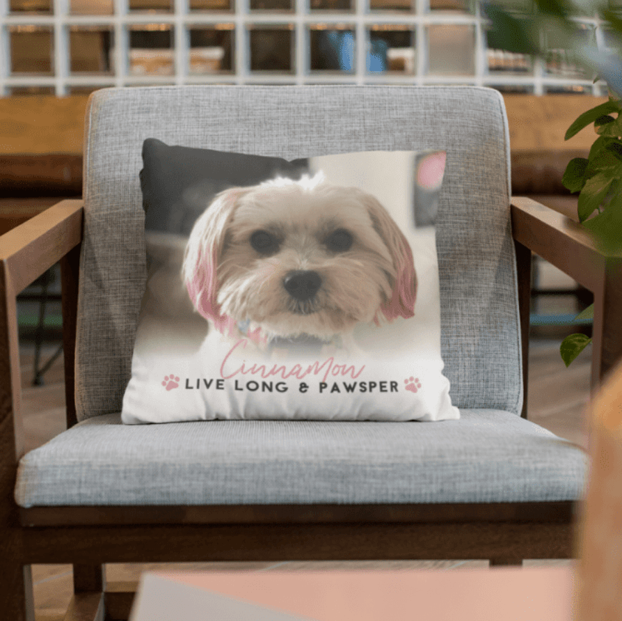 Budsies on Shark Tank