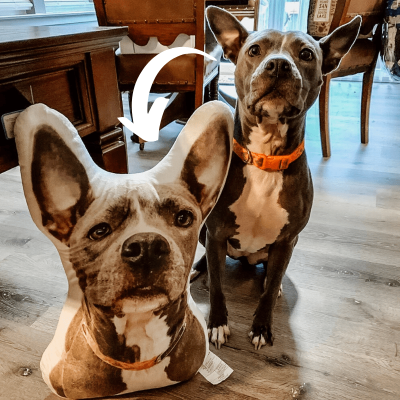 Get a stuffed animal of your dog deals