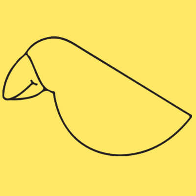 parrot coloring page for plush