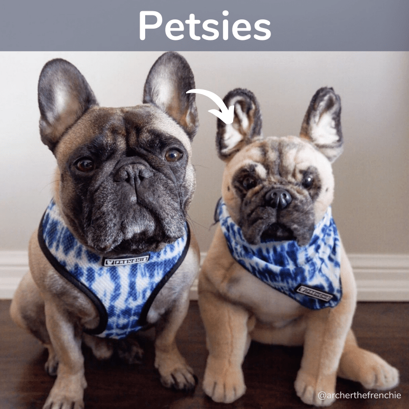 pet plushies